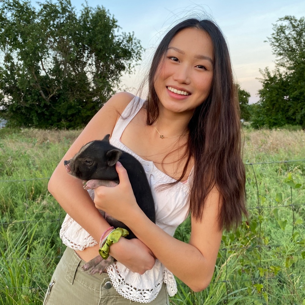 Meet your Posher, Abigail